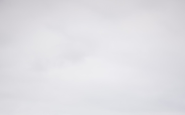 HQ Bn. Marines hike it out