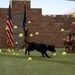 MWD Ivan Retirement Ceremony