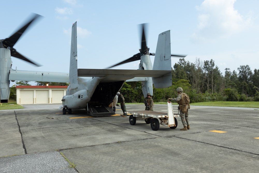 3/12 and VMM-265 Rehearse Aerial HIMARS Resupply