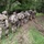 In the field at Combined Resolve 24-2