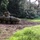 In the field at Combined Resolve 24-2