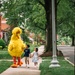 Sesame Street brings sunny days to JBM-HH