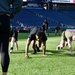 Base HIIT (High-Intensity Interval Training) at Nationals Park