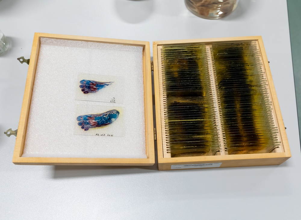 USU Graduate Nurses Tour