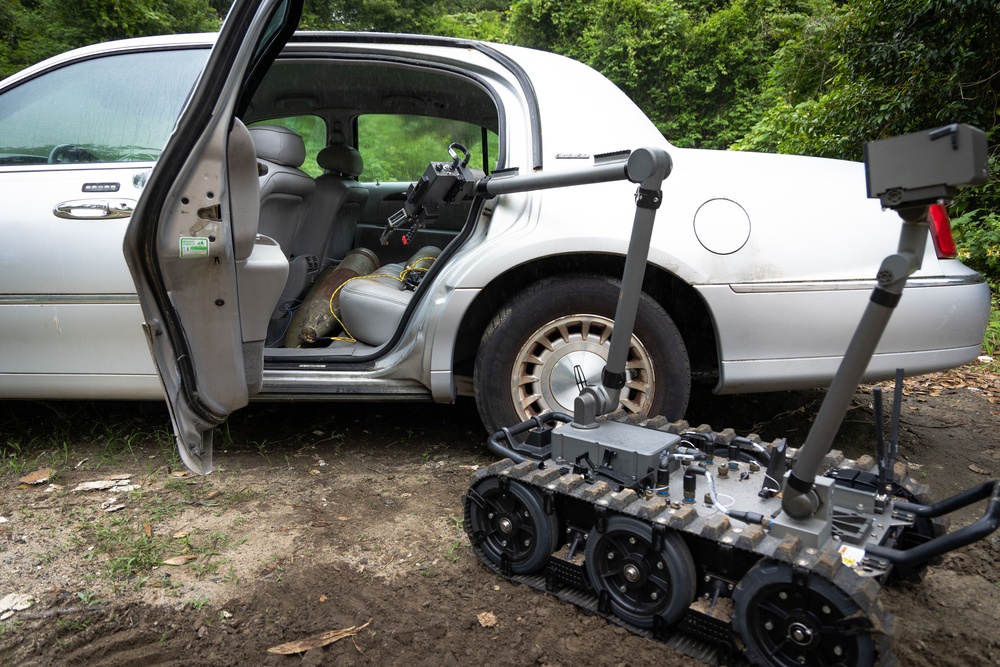 EOD Clearing and Rendering Safe Procedures