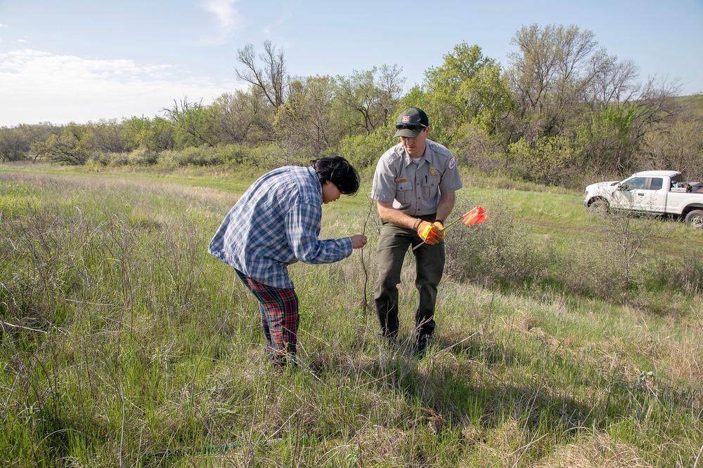 Omaha District partners with WOZU group to plant native vegetation near Standing Rock bike trails