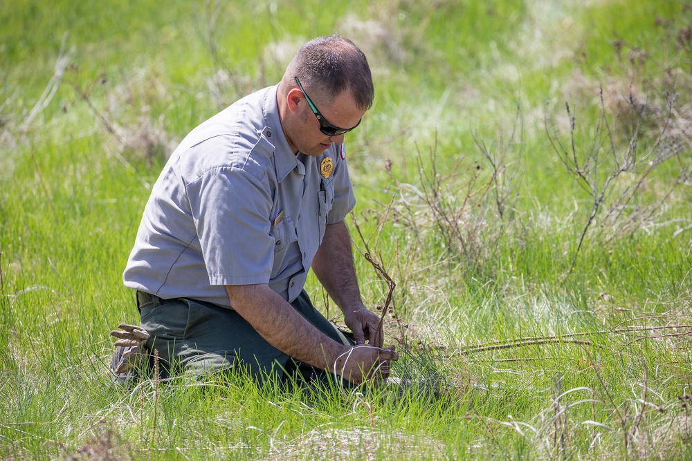 Omaha District partners with WOZU group to plant native vegetation near Standing Rock bike trails