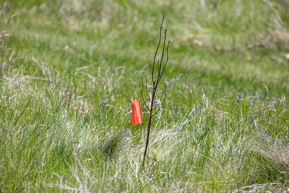 Omaha District partners with WOZU group to plant native vegetation near Standing Rock bike trails