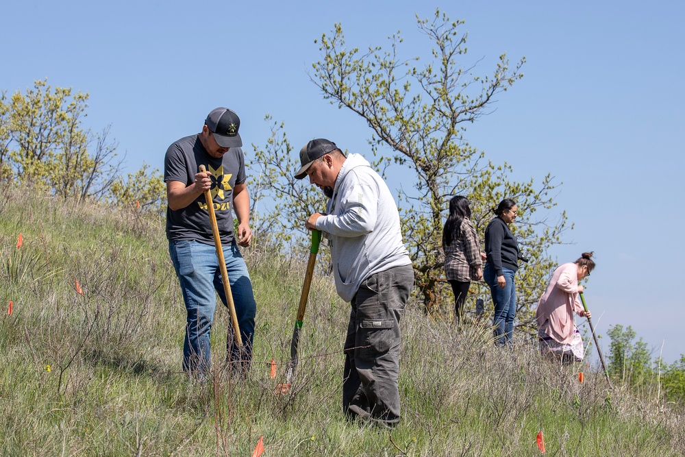 Omaha District partners with WOZU group to plant native vegetation near Standing Rock bike trails