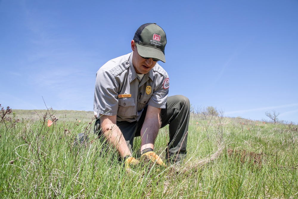 Omaha District partners with WOZU group to plant native vegetation near Standing Rock bike trails