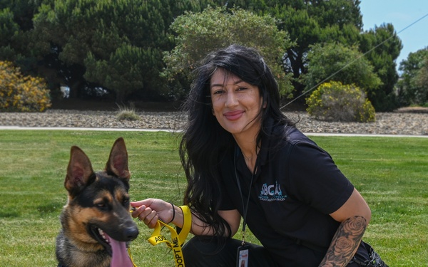 Furry Friends Looking for a Forever Home