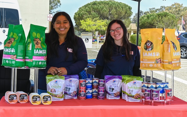 Furry Friends Looking for a Forever Home