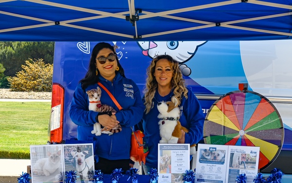 Furry Friends Looking for a Forever Home