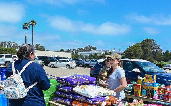 Furry Friends Looking for a Forever Home