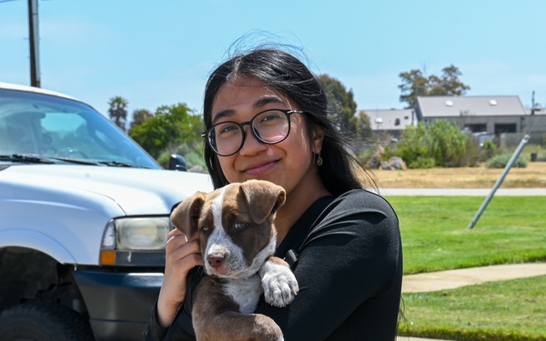 Furry Friends Looking for a Forever Home