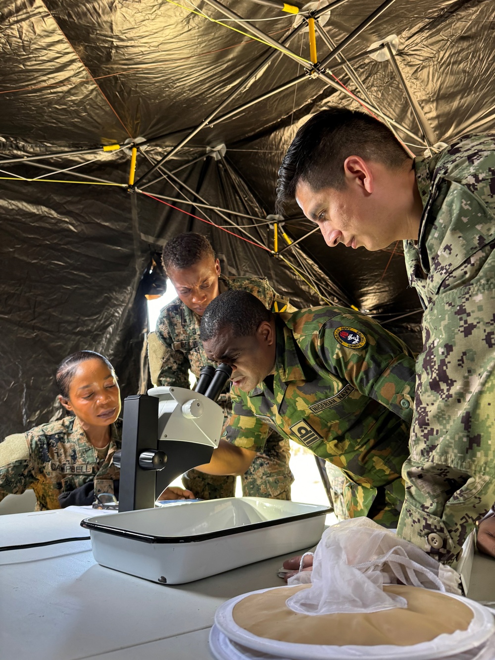 Military Partnerships in South America and Africa Take Center Stage at Navy Entomology Center of Excellence's Gator Dawn 24 Event