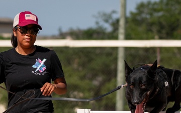 NAS Pensacola Security Forces Dog and Handler Win K-9 Competition