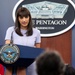 Pentagon Press Briefing