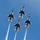U.S. Air Force Academy Graduation Class of 2024