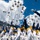 U.S. Air Force Academy Graduation Class of 2024