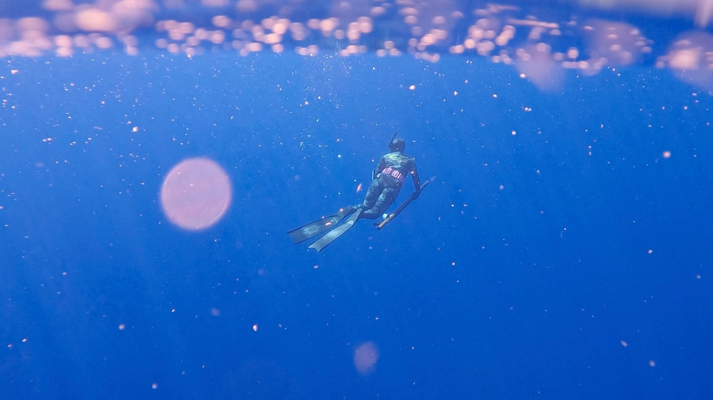 Diving Deeper: Hawaii Maintenance Officer sharpens ‘Tip of the Spear’ mentality in Military and Spearfishing