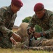 Tiger Strike 24: Medical SMEE
