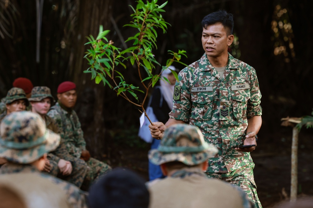 Tiger Strike 24: 15th MEU Enters “The Den of Lions”