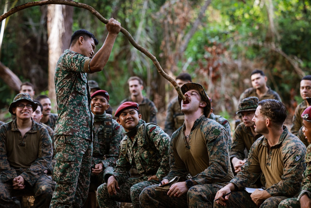 Tiger Strike 24: 15th MEU Enters “The Den of Lions”
