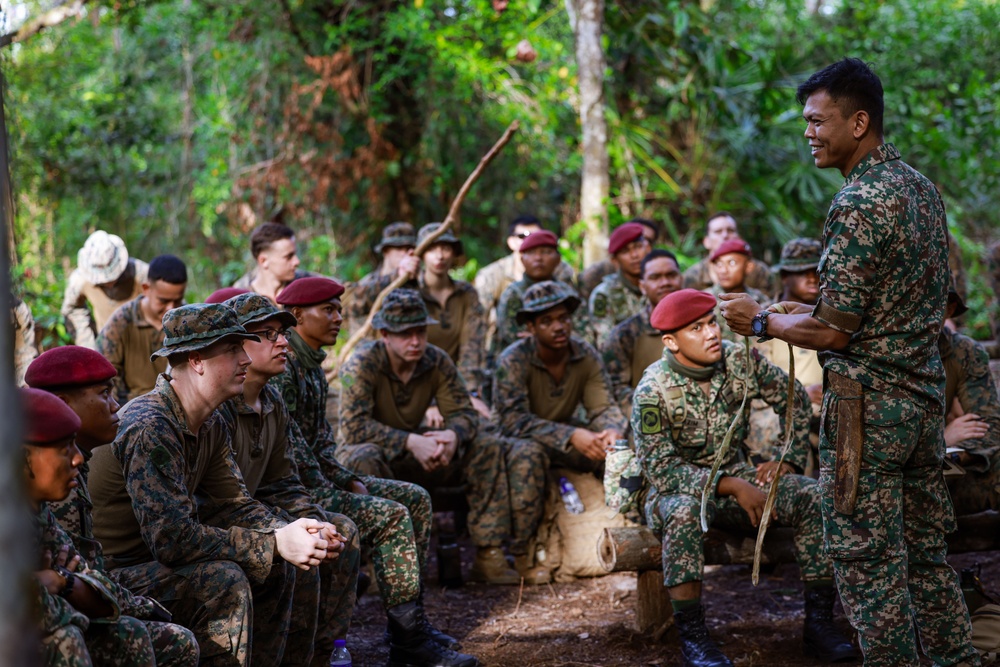 Tiger Strike 24: 15th MEU Enters “The Den of Lions”