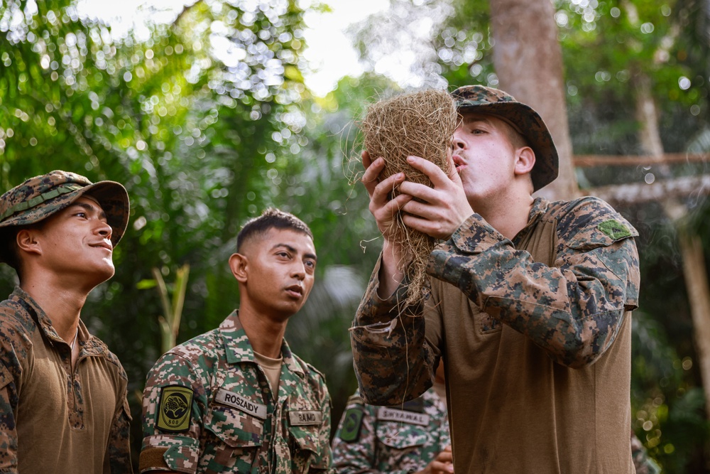 Tiger Strike 24: 15th MEU Enters “The Den of Lions”