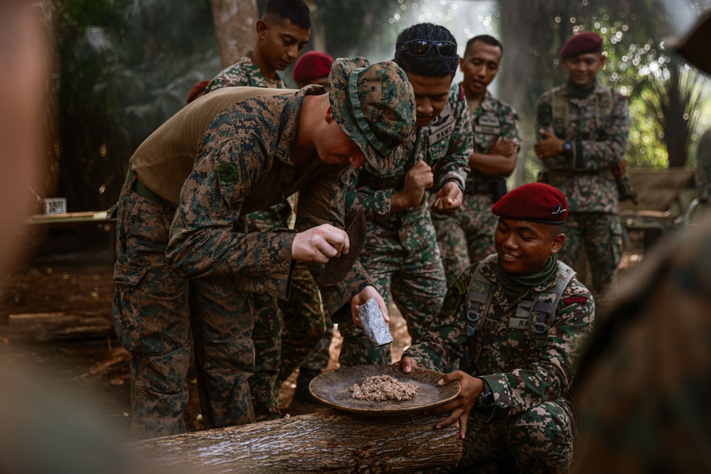 Tiger Strike 24: 15th MEU Enters “The Den of Lions”