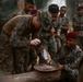 Tiger Strike 24: 15th MEU Enters “The Den of Lions”