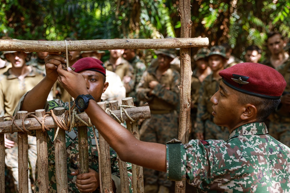 Tiger Strike 24: 15th MEU Enters “The Den of Lions”
