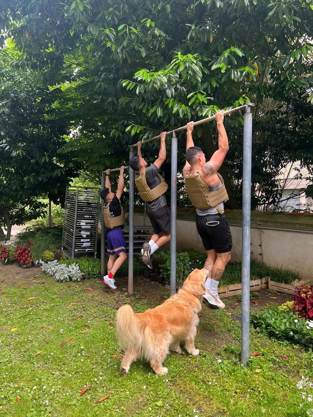 MCESG Memorial Day Physical Training Challenge