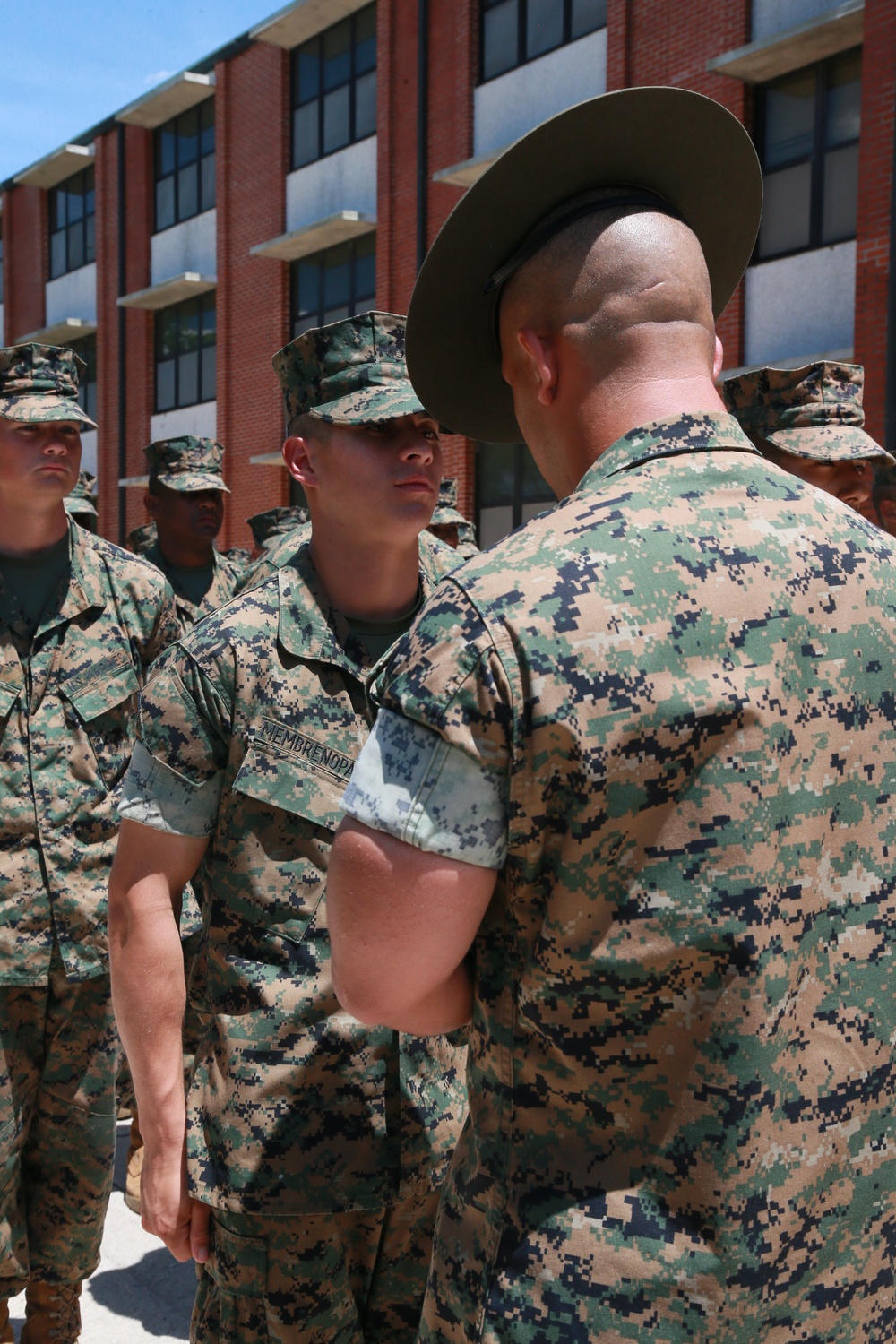 Siblings in Life, Siblings in Service