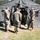 Army Reserve’s 238th Quartermaster (Field Feeding) Company vies for Connelly honors at Fort McCoy Army Reserve’s 238th Quartermaster (Field Feeding) Company vies for Connelly honors at Fort McCoy