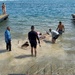 Volunteers conduct Merizo Pier underwater clean up