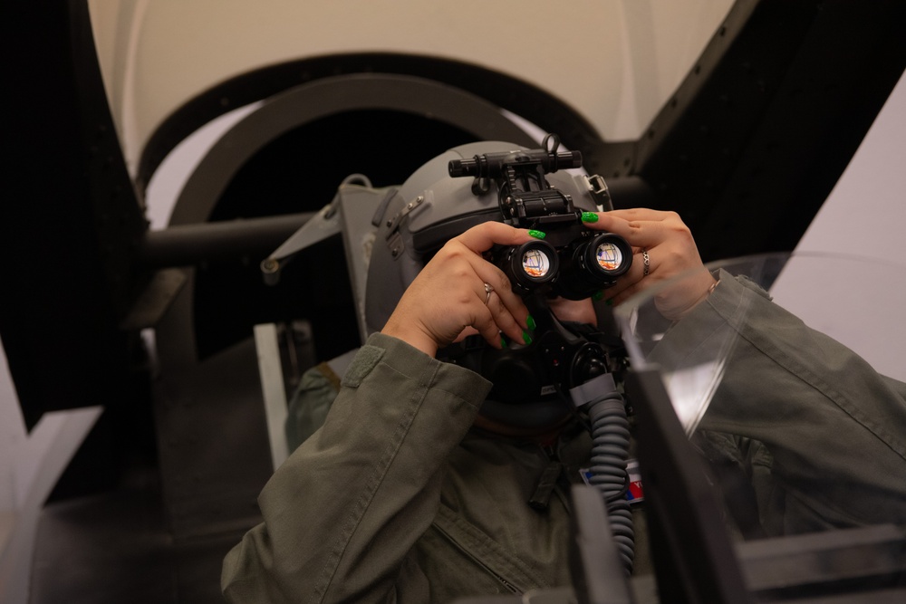 149th FW Pilot for a Day Program