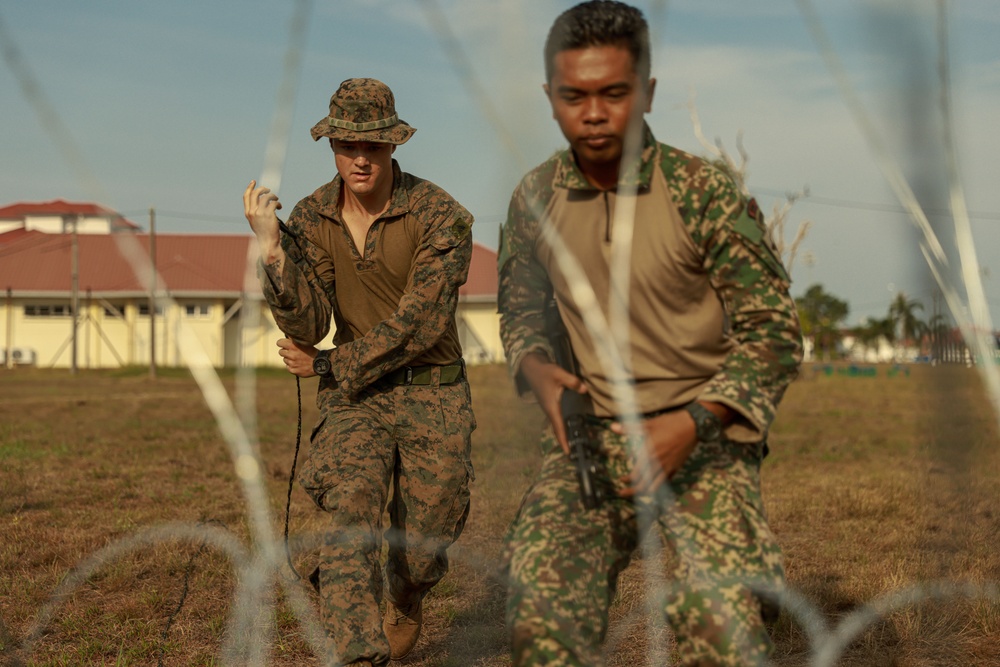 Tiger Strike 24: Combat Engineers Build and Breach Obstacles