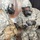 2024 International Best CBRN Warrior Competition 2024 International Best CBRN Warrior Competition