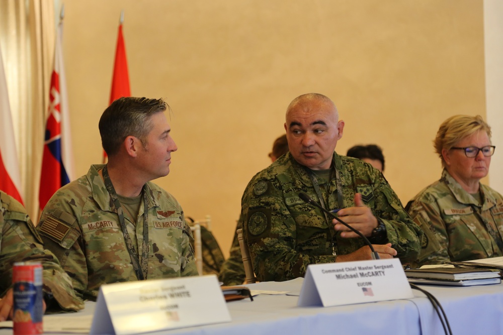 Central Europe defense conference aligns Allies, strengthens relationships