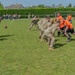 D-Day 80 Soccer and American Football Match