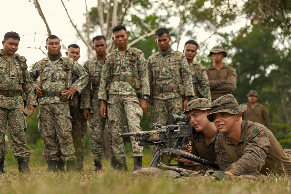 Tiger Strike 24: BLT 1/5, 9th Bn Exchange Infantry Best Practices