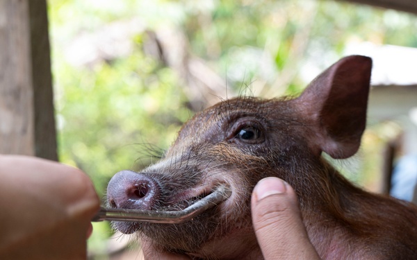 GHE brings humanitarian assistance and medical care to Guatemalans