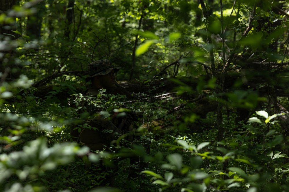 Marines Rehears Reconnaissance Patrol During ARTP 24.1