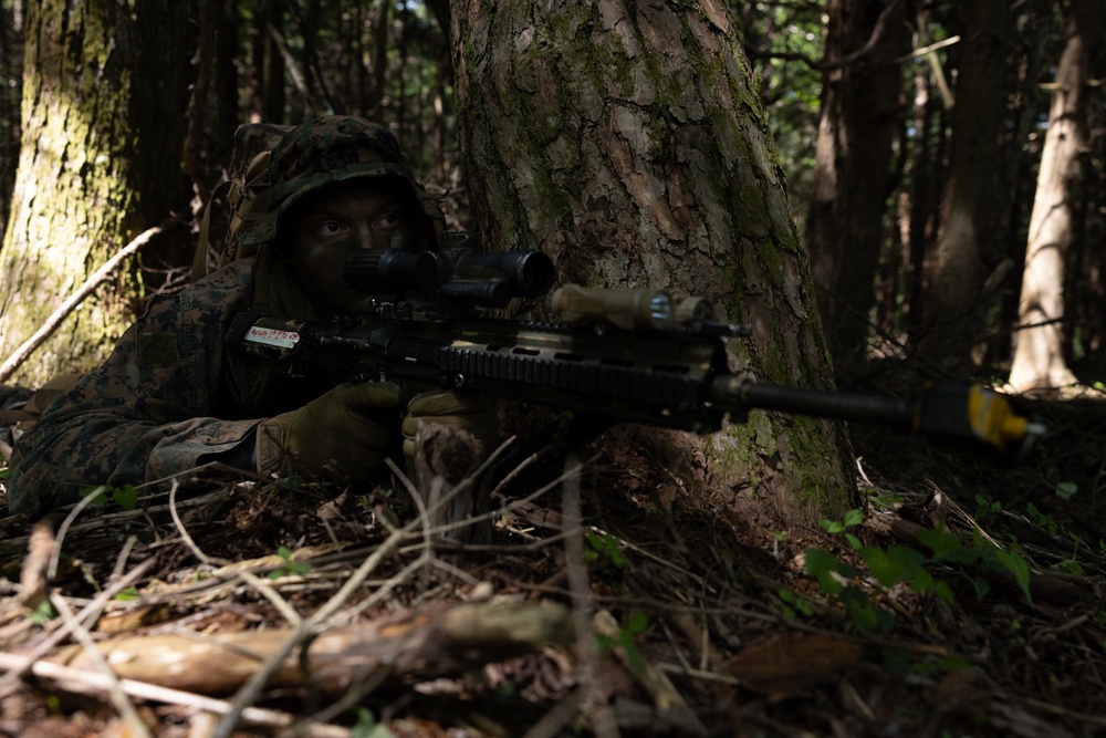 Marines Rehearse Reconnaissance Patrol During ARTP 24.1