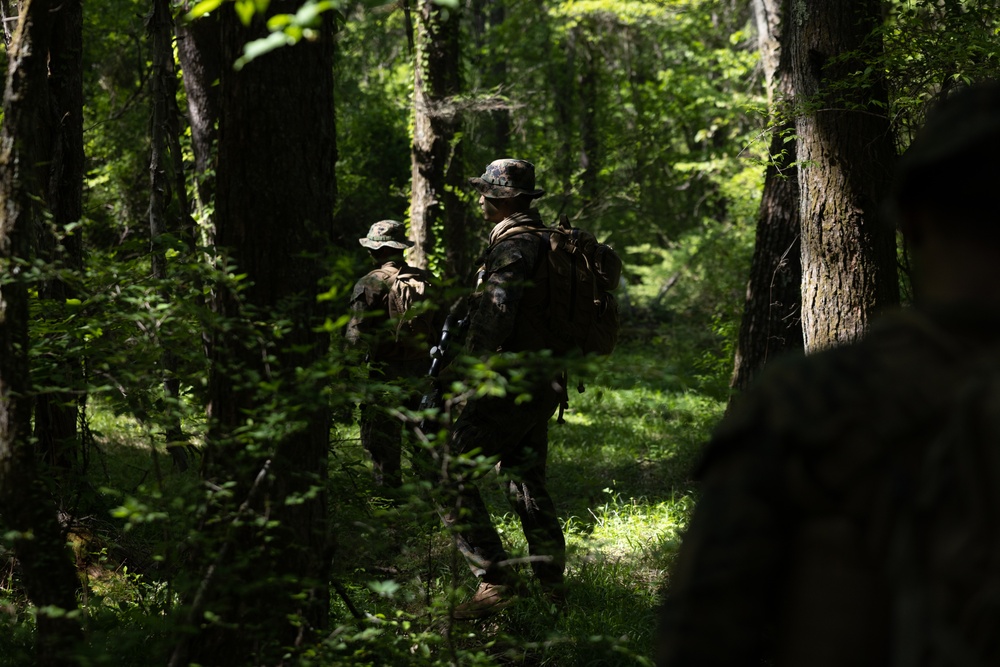 Marines Rehearse Reconnaissance Patrol During ARTP 24.1