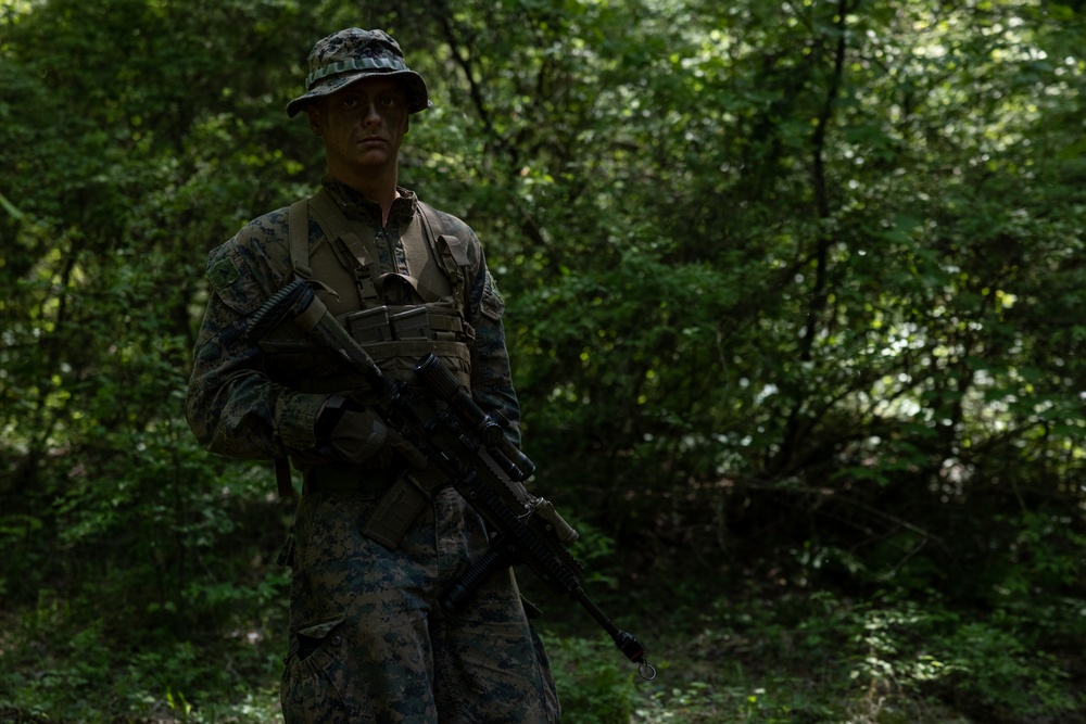 Marines Rehearse Reconnaissance Patrol During ARTP 24.1