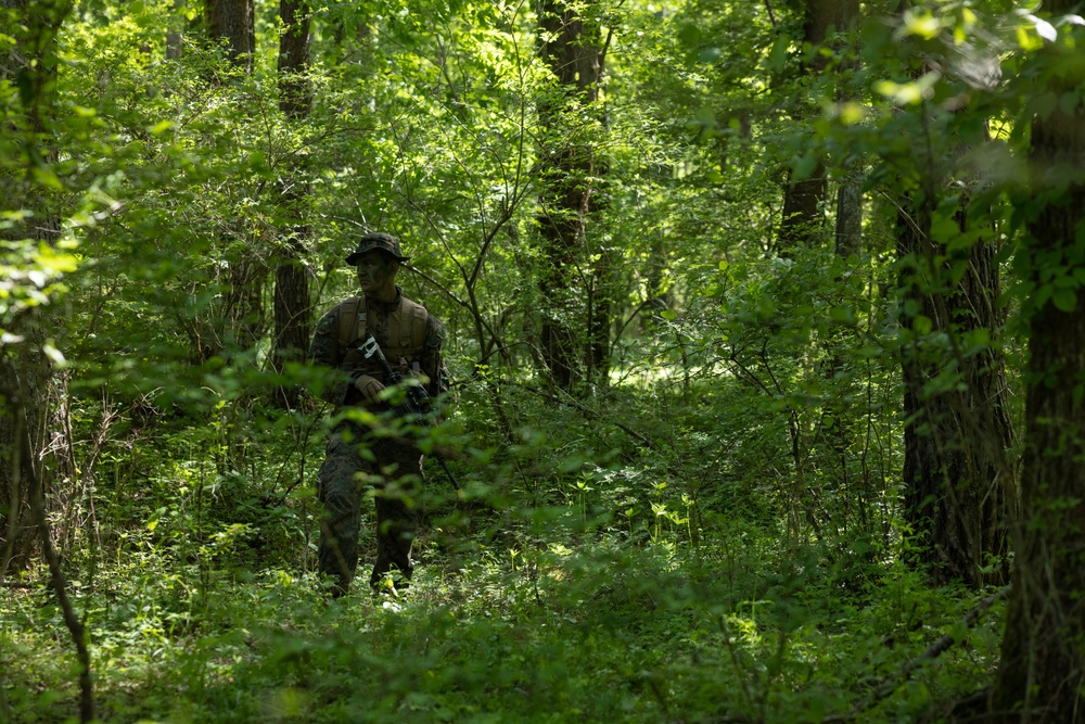 Marines Rehearse Reconnaissance Patrol During ARTP 24.1