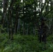 Marines Rehearse Reconnaissance Patrol During ARTP 24.1